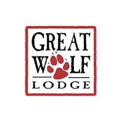 主頁插圖24 great-wolf-lodge-waterslides-supplier-250x250-c